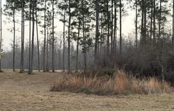 Greenfields Road, Moss Point, MS 39562