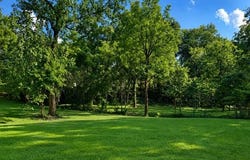 85 Ballard Lane, Owenton, KY 40359
