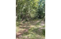 E Town Road, Tuskegee, AL 36083