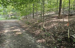 Figg Road, Frankfort, MI 49635