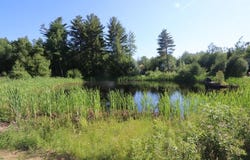 8 Martins Lane, Glenburn, ME 04401