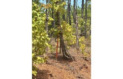 CR 222, Henderson, TX 75652