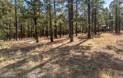 3 N1062, Greer, AZ 85927
