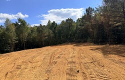 582 COUNTY ROAD 235, Arley, AL 35541