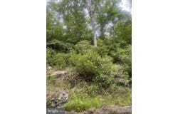 BEAR DR E, OAKLAND, MD 21550