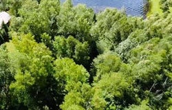 ON MOQUAH LAKE RD, Mellen, WI 54546