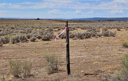 County Road 130, Hesperus, CO 81326