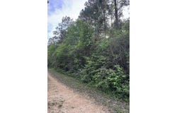 NHN Pinecroft Dr, Poplarville, MS 39470