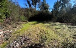 16470 Jamison Creek RD, BOULDER CREEK, CA 95006