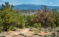790 Mesa Drive, Eagle, CO 81631