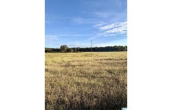 740 WATTS ROAD, MUNFORD, AL 36268
