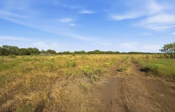 TBD Lot 3 Ranchero St, Bertram, TX 78605