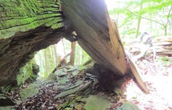 Co Hwy 48, Oneonta, NY 13820