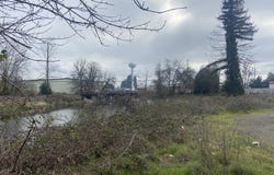1480 IVY St, JunctionCity, OR 97448