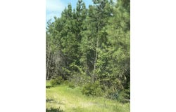 Nevada 46 Roads, Rosston, AR 71858