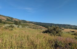 Hwy 95, Council, ID 83612