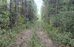 48 Lickskillet Road, San Augustine, TX 75972