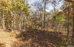 Thunder Ridge Road lot: 6, Richwoods, MO 63071