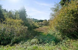 233 ROCK CREEK Dr, RockawayBeach, OR 97136