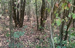 TOW BOAT Ln, Adamsville, TN 38310