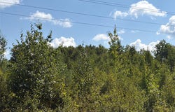 On Holmes Road, Ashland, WI 54806