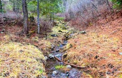 Low Gap Lane, LongCreek, OR 97856