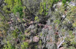 NE Champion Loop, Lee, FL 32059