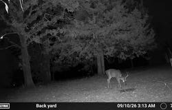 County Road Jj-416, Ava, MO 65608