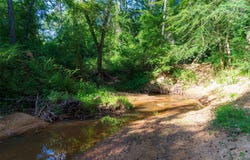 County Road 1310, Rusk, TX 75785