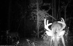 84 Cr 154, Tillatoba, MS 38961