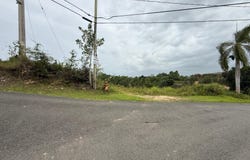 Plana, Isabela, PR 00662