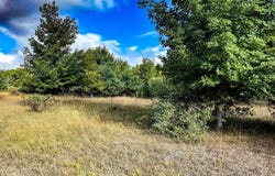 Parcel 2 E Darga Road, Cedar, MI 49621
