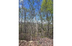 High Pines Loop, Lake Lure, NC 28746