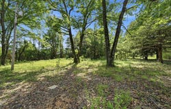 24 W Mobbs Circle, Greenbrier, AR 72058
