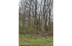 U.S. 45, Scooba, MS 39301