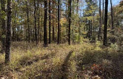Rosemary Road, Florence, MS 39073