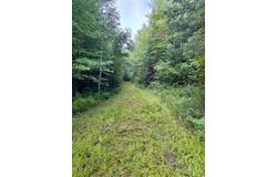 80 acres CLAUSEN RD, Prentice, WI 54556