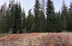 Meadowood Road, Weston, OR 97886