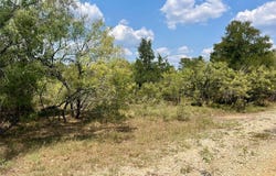 312 Blue Flame Rd, Cedar Creek, TX 78612