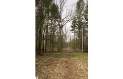 NE Bailey Street, Kalkaska, MI 49646