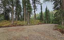 256 Snowden Drive Lot # 3, Durango, CO 81301