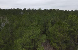 HWY 160, Smackover, AR 71762