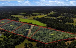 Tract 1 Slash Pine, Big Sandy, TX 75755