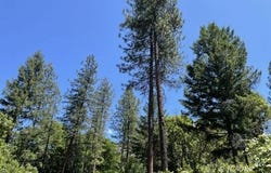 1460 Lake Rd, Junction City, CA 96048