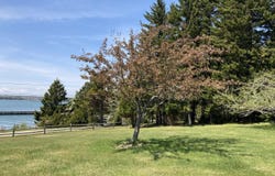 1 Francis Road, Steuben, ME 04680