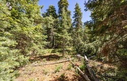 1365 W Twisted Trail, Duck Creek Village, UT 84762