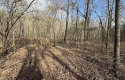 Ottofy Way, Eminence, MO 65466