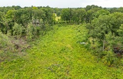CAMBRIDGE Dr, Winfield, AL 35594