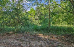 Chumuckla Hwy, Pace, FL 32571