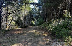 Horizon, GoldBeach, OR 97444